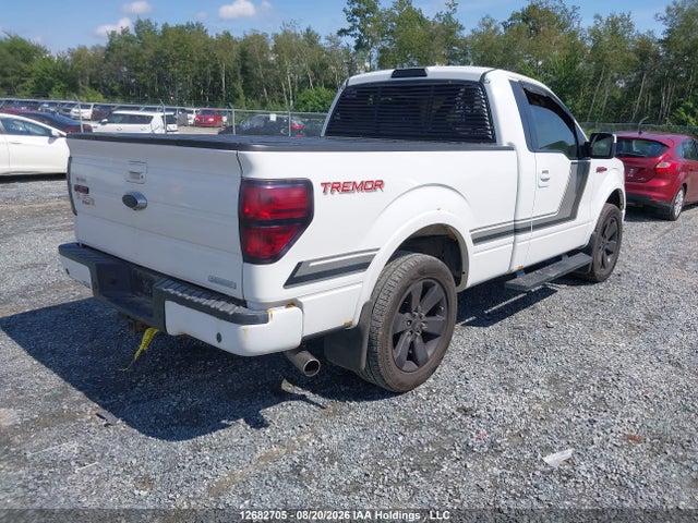 1FTMF1ETXEFB12530 Ford F-150 Fx4