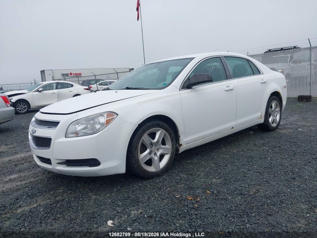 2011 Chevrolet Malibu მანქანა იყიდება აუქციონზე, vin: 1G1ZB5EU3BF321968, აუქციონის ნომერი: 12682789