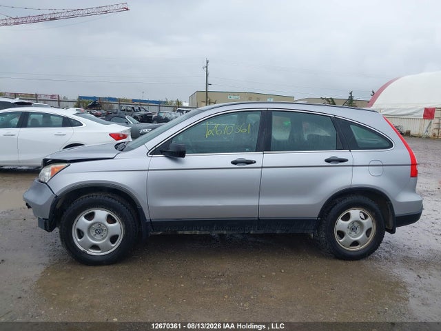 2007 Honda Cr-v Lx მანქანა იყიდება აუქციონზე, vin: 5J6RE38397L800551, აუქციონის ნომერი: 12670361