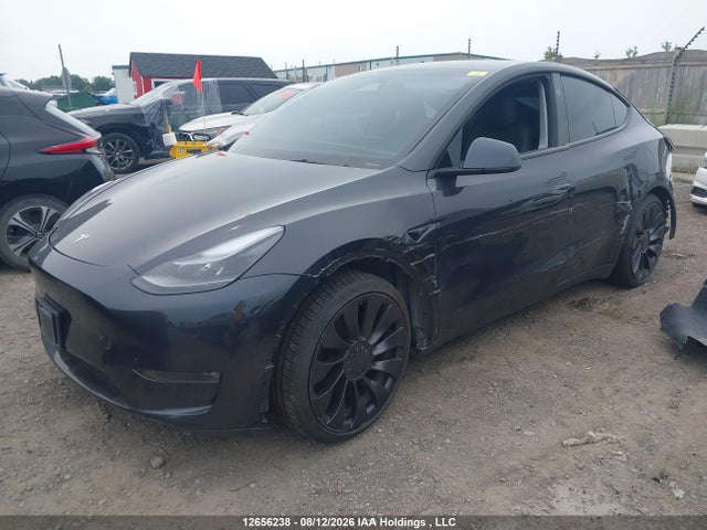 Продаж на аукціоні авто 2024 Tesla Model Y Performance, vin: 7SAYGDEF9RF109870, номер лоту: 12656238