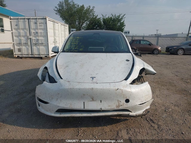 Aukcja sprzedaży 2023 Tesla Model Y, vin: LRWYGDEE5PC005856, numer aukcji: 12682877