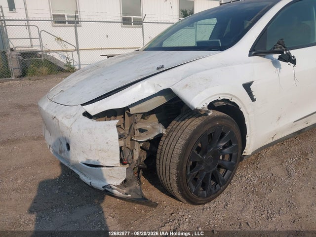 Aukcja sprzedaży 2023 Tesla Model Y, vin: LRWYGDEE5PC005856, numer aukcji: 12682877
