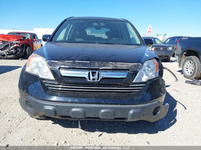 Aukcja sprzedaży 2007 Honda Cr-v Exl, vin: 5J6RE487X7L816458, numer aukcji: 12682996