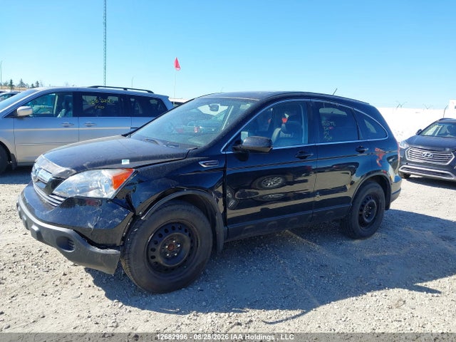 Aukcja sprzedaży 2007 Honda Cr-v Exl, vin: 5J6RE487X7L816458, numer aukcji: 12682996