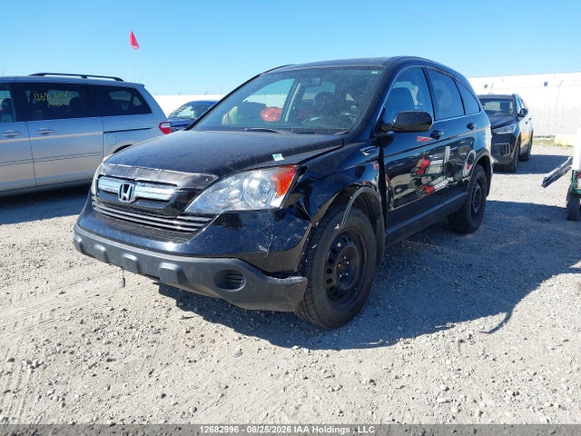 Aukcja sprzedaży 2007 Honda Cr-v Exl, vin: 5J6RE487X7L816458, numer aukcji: 12682996