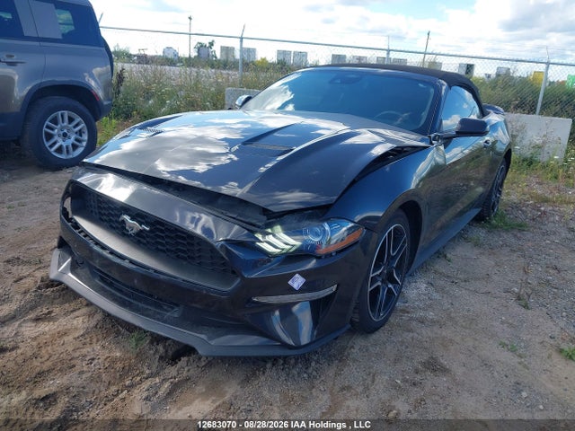Ford Mustang Convertible 2023 1FATP8UH0P5108581 Image 2