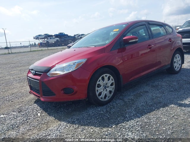12683139 :رقم المزاد ، 1FADP3K29DL287264 vin ، 2013 Ford Focus Se مزاد بيع
