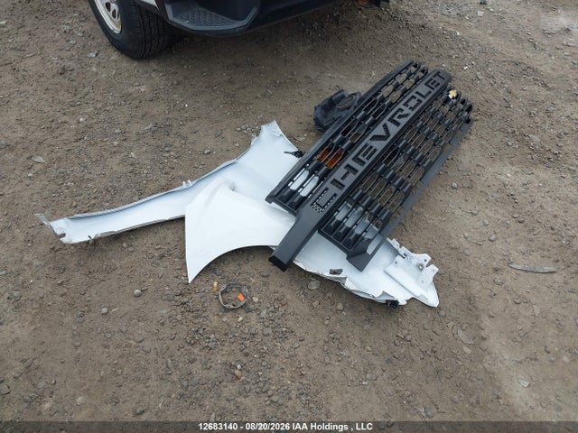 Продаж на аукціоні авто 2020 Chevrolet Silverado 1500 Work Truck, vin: 1GCRWAEH8LZ300623, номер лоту: 12683140