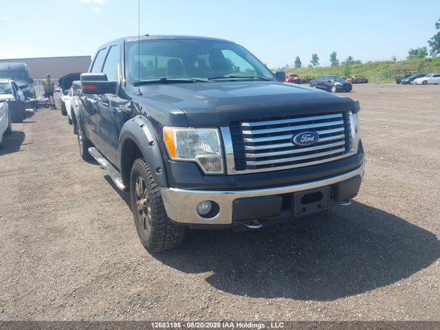 12683195 :رقم المزاد ، 1FTFW1EV8AFA23799 vin ، 2010 Ford F150 Supercrew مزاد بيع