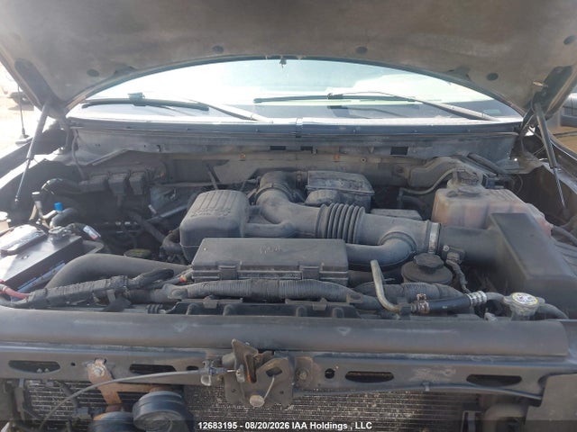 12683195 :رقم المزاد ، 1FTFW1EV8AFA23799 vin ، 2010 Ford F150 Supercrew مزاد بيع