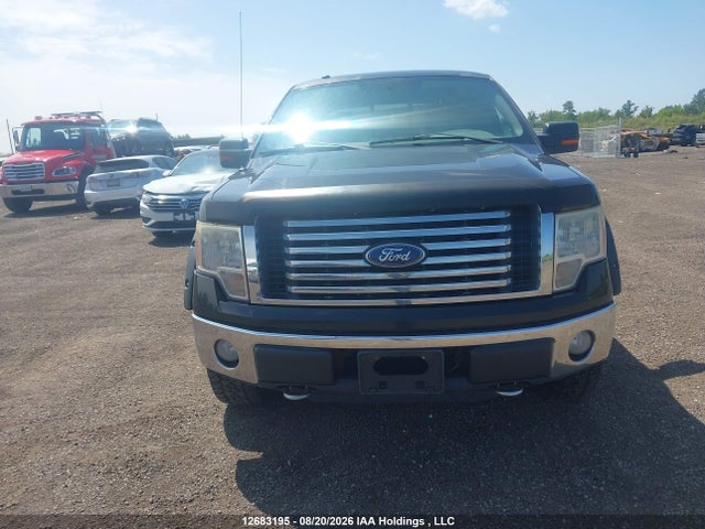 12683195 :رقم المزاد ، 1FTFW1EV8AFA23799 vin ، 2010 Ford F150 Supercrew مزاد بيع