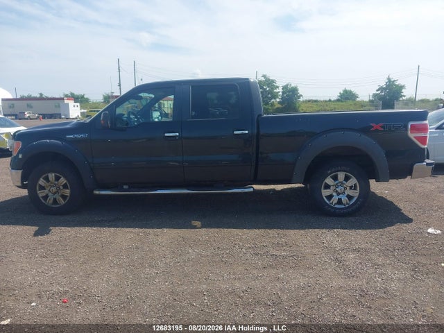 12683195 :رقم المزاد ، 1FTFW1EV8AFA23799 vin ، 2010 Ford F150 Supercrew مزاد بيع