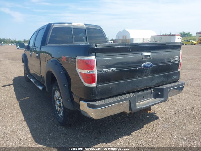 12683195 :رقم المزاد ، 1FTFW1EV8AFA23799 vin ، 2010 Ford F150 Supercrew مزاد بيع