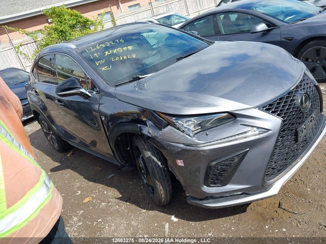 Продаж на аукціоні авто 2019 Lexus Nx 300, vin: JTJBARBZ4K2208828, номер лоту: 12683275