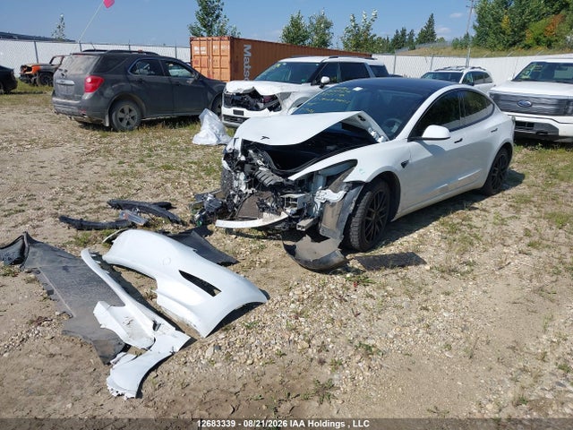 Tesla MODEL 3 2023 LRW3E1EB0PC875342 Image 2
