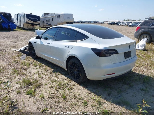 Tesla MODEL 3 2023 LRW3E1EB0PC875342 Image 3