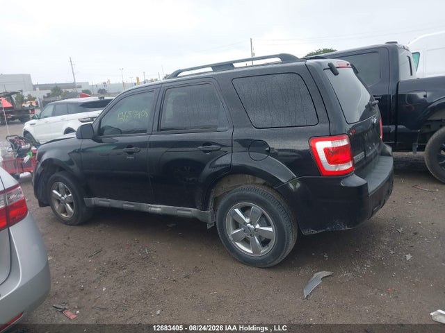 Auction sale of the 2009 Ford Escape, vin: 1FMCU93G69KC08444, lot number: 12683405