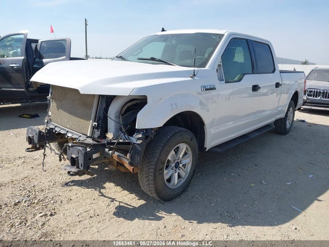 2020 Ford F150 Supercrew მანქანა იყიდება აუქციონზე, vin: 1FTFW1E57LFA88081, აუქციონის ნომერი: 12683461