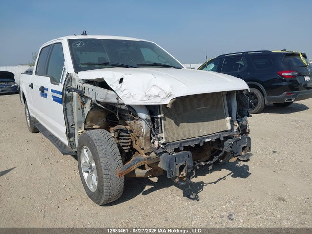 2020 Ford F150 Supercrew მანქანა იყიდება აუქციონზე, vin: 1FTFW1E57LFA88081, აუქციონის ნომერი: 12683461
