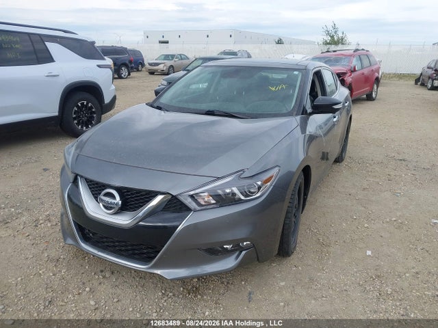 1N4AA6AP9GC382382 Nissan Maxima Platinum/sl/sr/sv