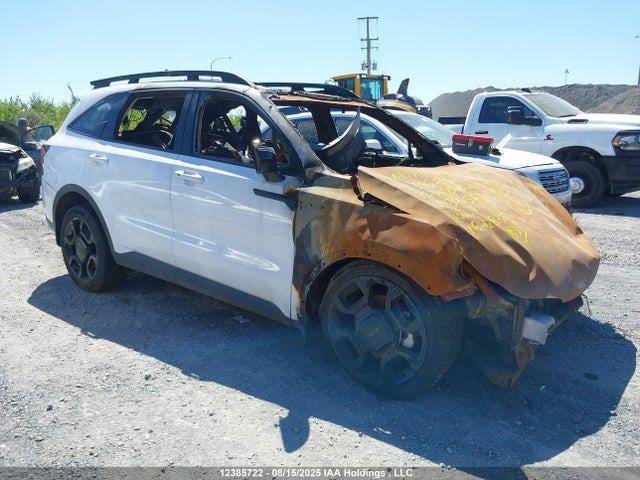 Auction sale of the 2025 Kia Sorento Ex, vin: 5XYRHDJF0SG340353, lot number: 12385722