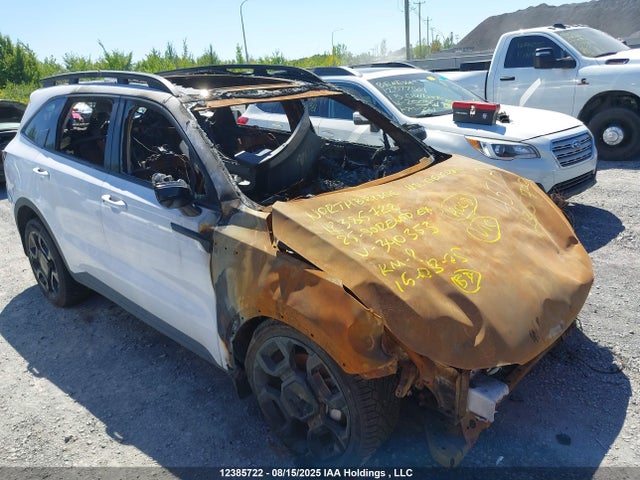 Продажа на аукционе авто 2025 Kia Sorento Ex, vin: 5XYRHDJF0SG340353, номер лота: 12385722