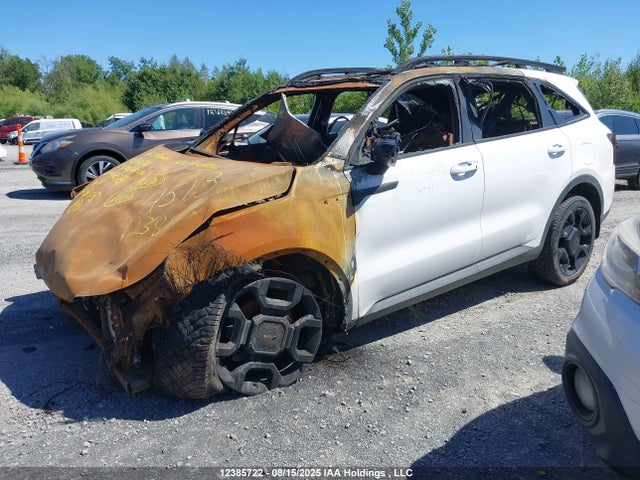 Продажа на аукционе авто 2025 Kia Sorento Ex, vin: 5XYRHDJF0SG340353, номер лота: 12385722
