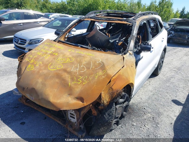 Продажа на аукционе авто 2025 Kia Sorento Ex, vin: 5XYRHDJF0SG340353, номер лота: 12385722