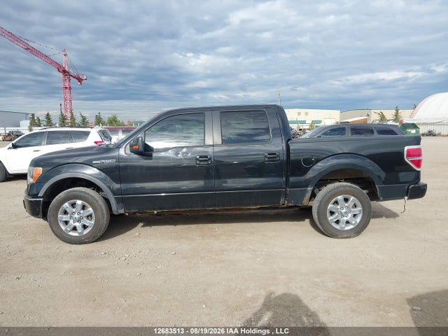 Aukcja sprzedaży 2011 Ford F-150 Fx4, vin: 1FTFW1EF7BFB67516, numer aukcji: 12683513