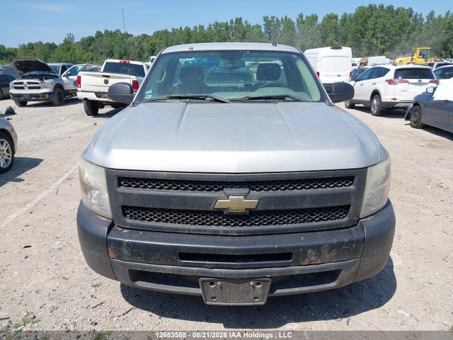 12683588 :رقم المزاد ، 1GCPCPEX5AZ294819 vin ، 2010 Chevrolet Silverado 1500 Wt مزاد بيع