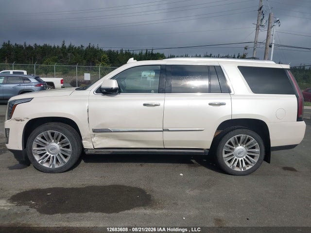 Cadillac Escalade Platinum 2015 1GYS4PKJ6FR649005 Image 15