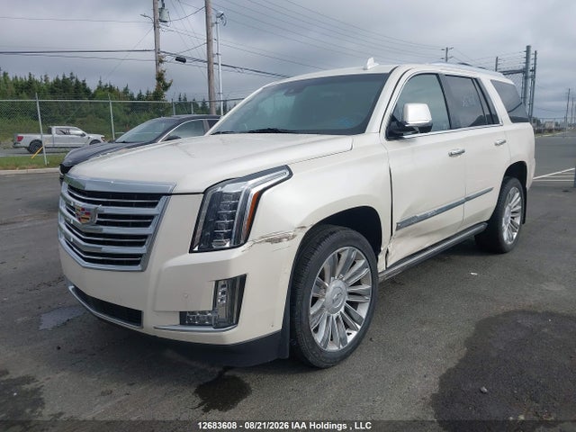 Cadillac Escalade Platinum 2015 1GYS4PKJ6FR649005 Image 6