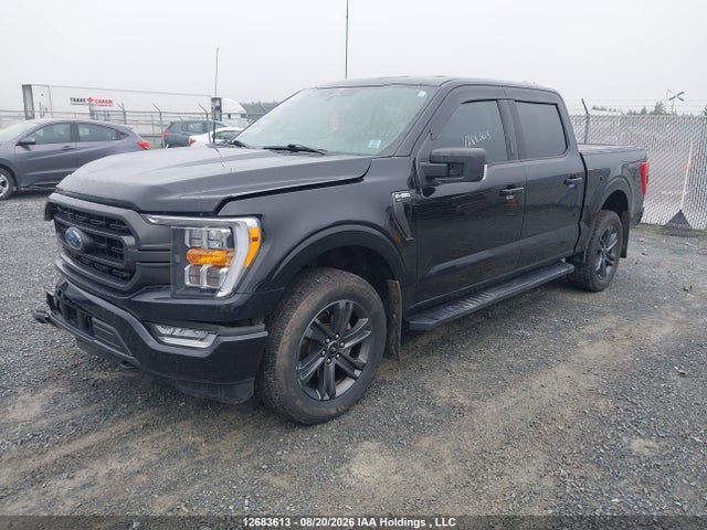 1FTFW1E86PFA27823 Ford F-150 Xlt