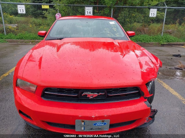 Продажа на аукционе авто 2010 Ford Mustang, vin: 1ZVBP8AN9A5125156, номер лота: 12683682