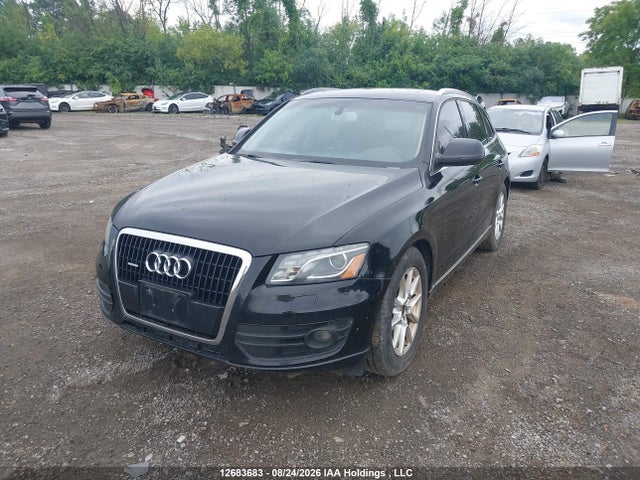 Продаж на аукціоні авто 2010 Audi Q5 Premium Plus, vin: WA1LKCFP5AA087610, номер лоту: 12683683