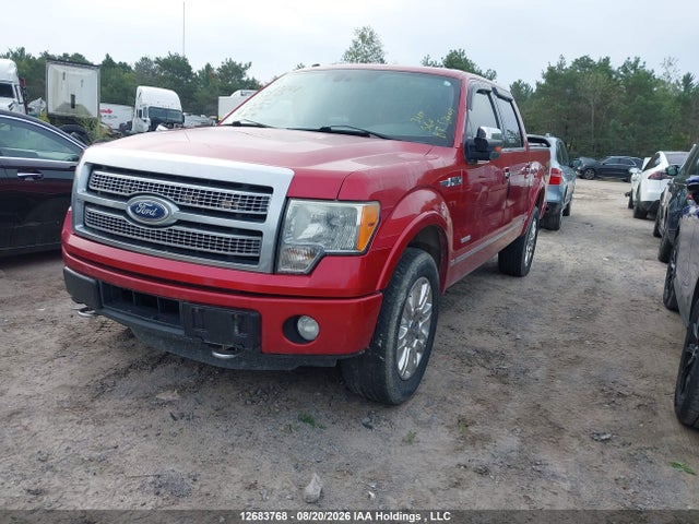 2011 Ford F-150 Platinum მანქანა იყიდება აუქციონზე, vin: 1FTFW1ETXBFA88847, აუქციონის ნომერი: 12683768