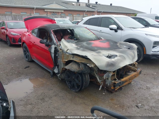 1FA6P8TH7J5141339 Ford Mustang Ecoboost
