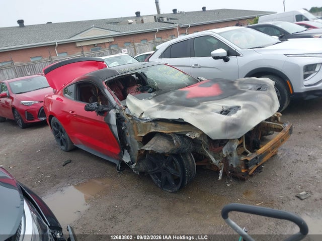 Ford Mustang Ecoboost 2018 1FA6P8TH7J5141339 Image 12