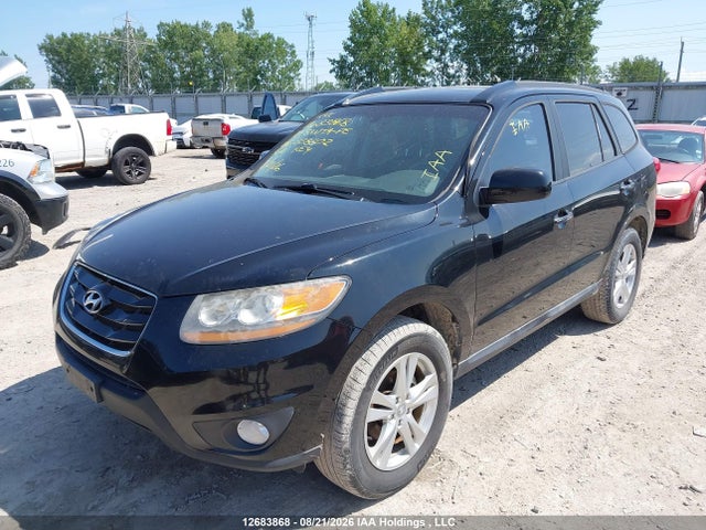 Продажа на аукционе авто 2010 Hyundai Santa Fe, vin: 5NMSHDAG6AH338802, номер лота: 12683868