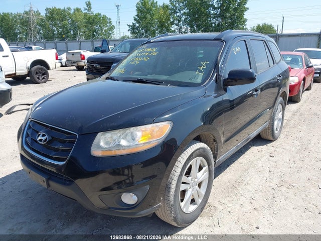 Продажа на аукционе авто 2010 Hyundai Santa Fe, vin: 5NMSHDAG6AH338802, номер лота: 12683868