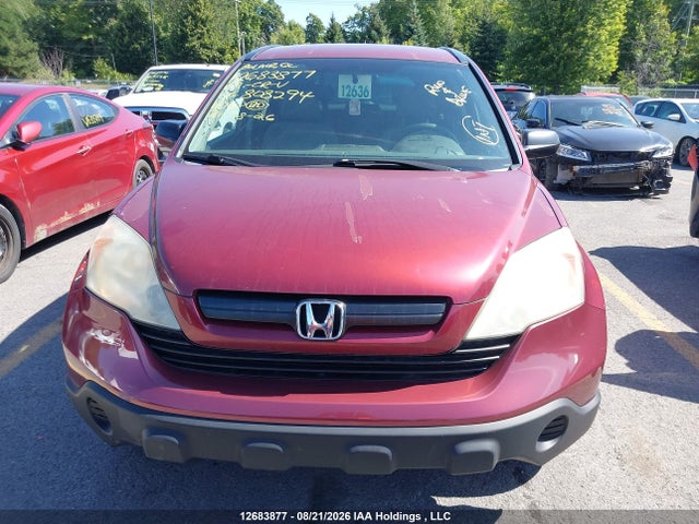 12683877 :رقم المزاد ، 5J6RE483X9L808294 vin ، 2009 Honda Cr-v مزاد بيع
