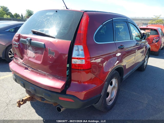 12683877 :رقم المزاد ، 5J6RE483X9L808294 vin ، 2009 Honda Cr-v مزاد بيع