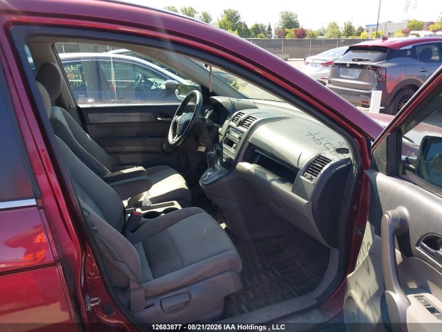12683877 :رقم المزاد ، 5J6RE483X9L808294 vin ، 2009 Honda Cr-v مزاد بيع