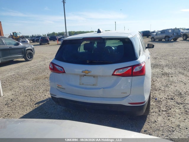 2GNAX5EVXL6162416 Chevrolet EQUINOX LS