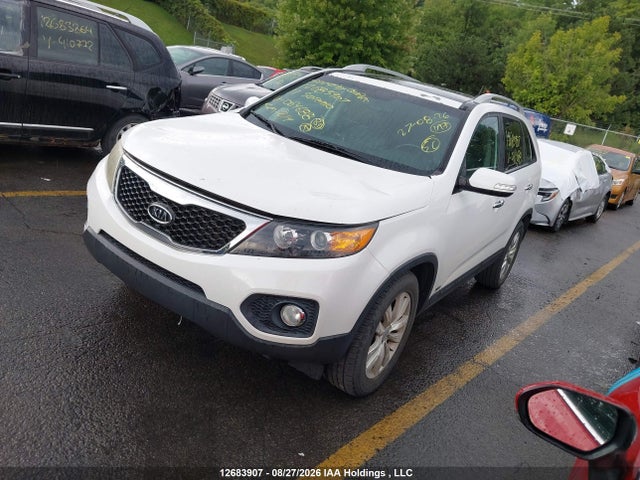 Продажа на аукционе авто 2011 Kia Sorento Ex Luxury V6/ex V6, vin: 5XYKUDA26BG064688, номер лота: 12683907