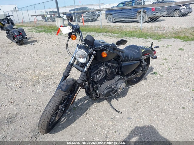 Harley-Davidson Xl883 Iron 883 2016 5HD4LE2AXGC425446 Image 2