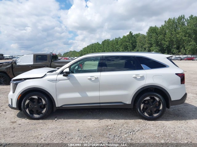 Aukcja sprzedaży 2026 Kia Sorento Hev Lx, vin: KNDRFDJG8T5431315, numer aukcji: 12683993
