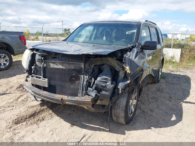 Продажа на аукционе авто 2010 Honda Pilot, vin: 5FNYF4H99AB501743, номер лота: 12684153