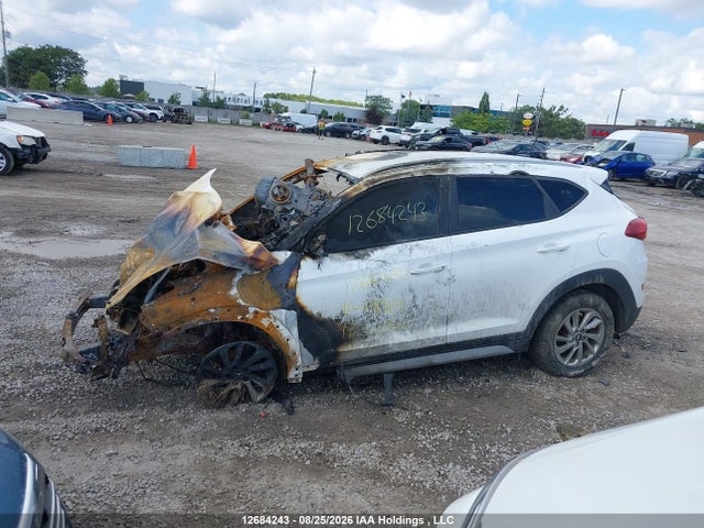 Hyundai Tucson Premium 2017 KM8J33A45HU418469 Image 12