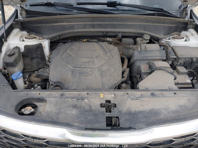 KIA Telluride Sx 2020 5XYP5DHC0LG072062 Image 10
